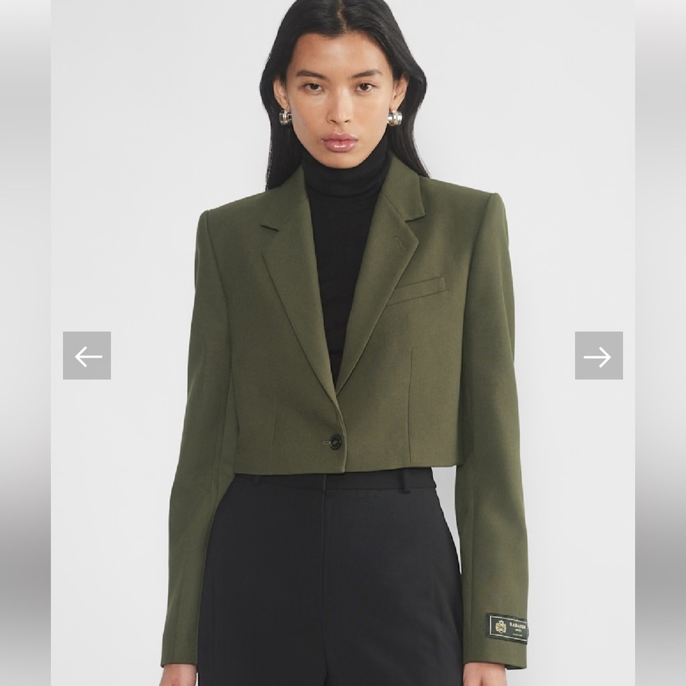 NWT Aritzia Babaton Arbus Blazer (4)